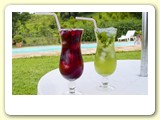 Coquetel de Folhas de Frutas